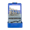 25pcs HSS fully ground twisted white finish drill bit set rose plastic box